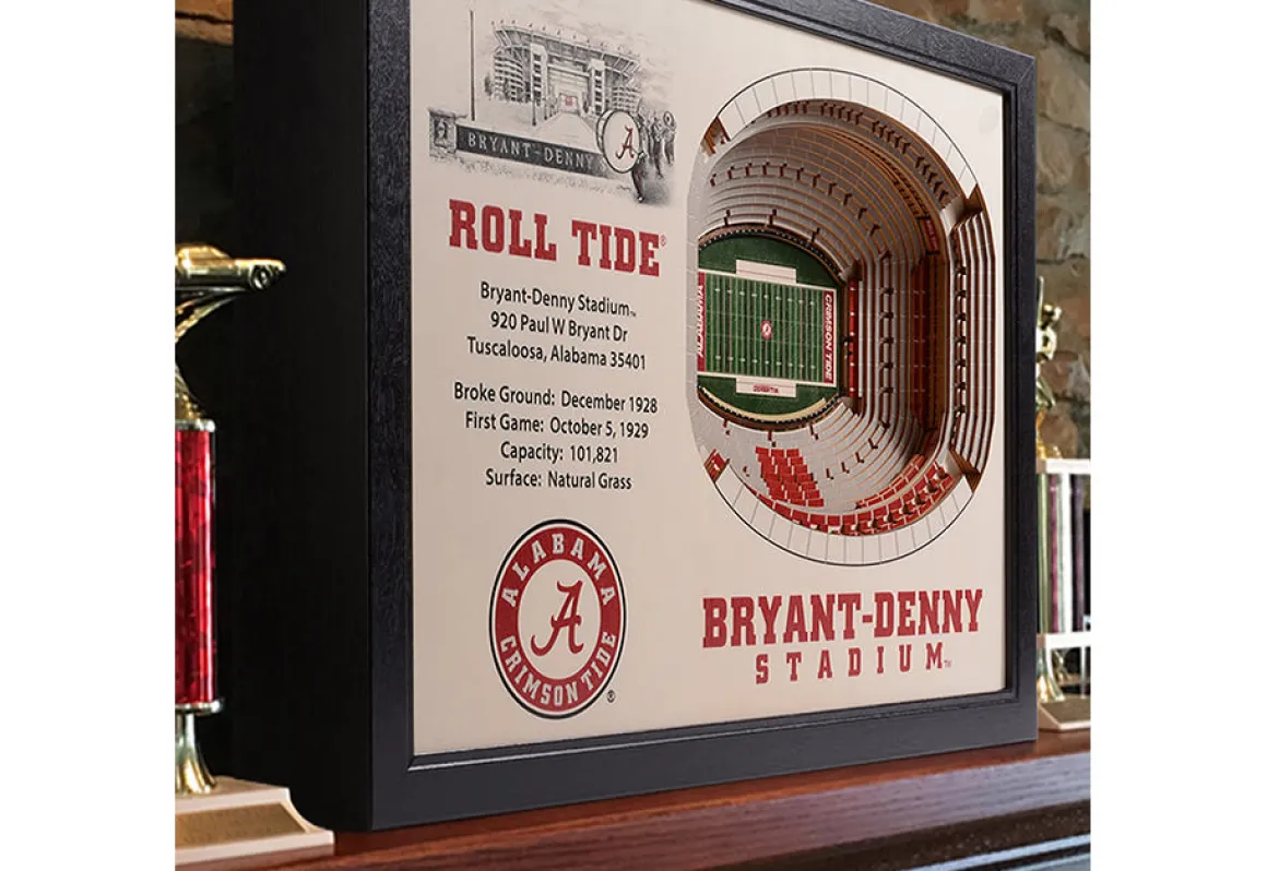 NCAA 3D Stadium Wall Art