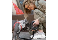 Pet Water Bottle Leash