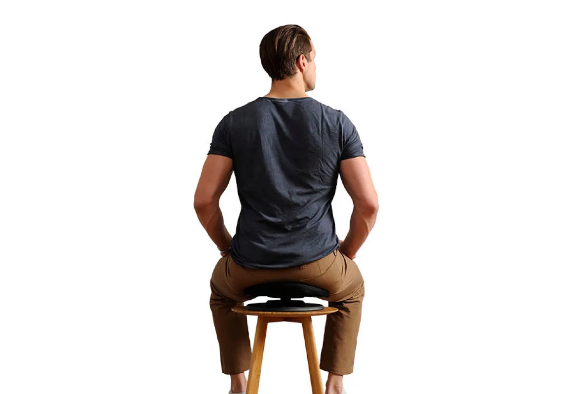 Posture Balance Core Trainer