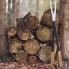 Precision Fire Grabber Tongs