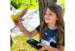 RC Flying Bird (Set of 2)