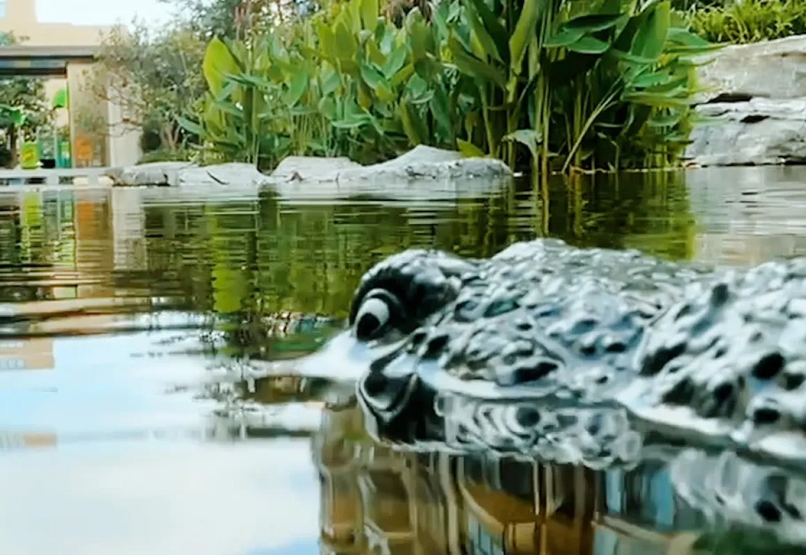 RC Robot Crocodile