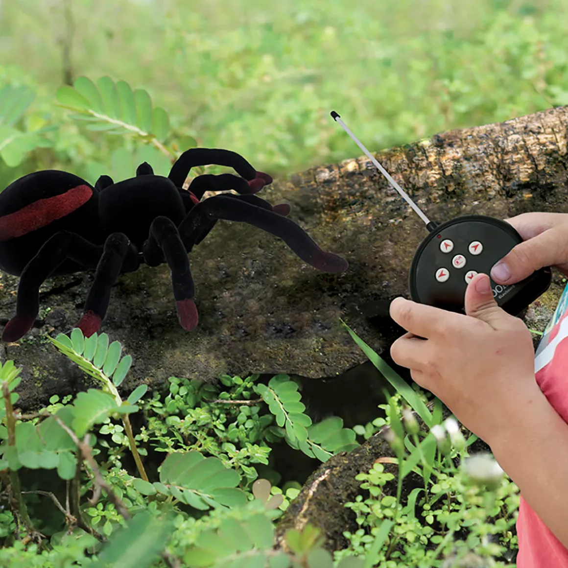RC Tarantula