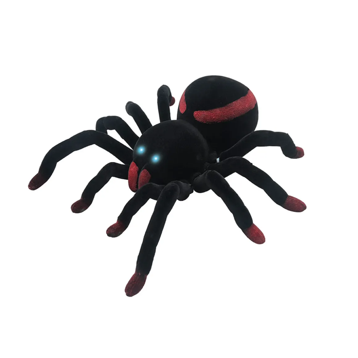RC Tarantula