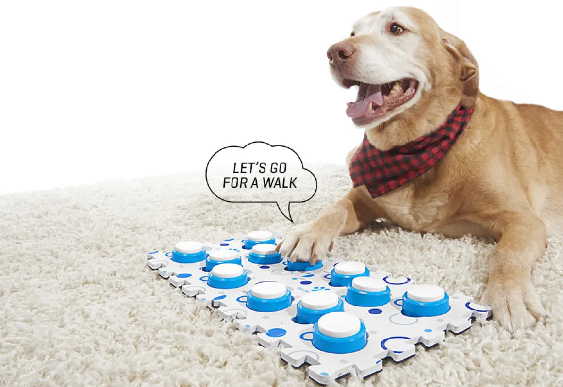 Recordable Pet Training Buttons