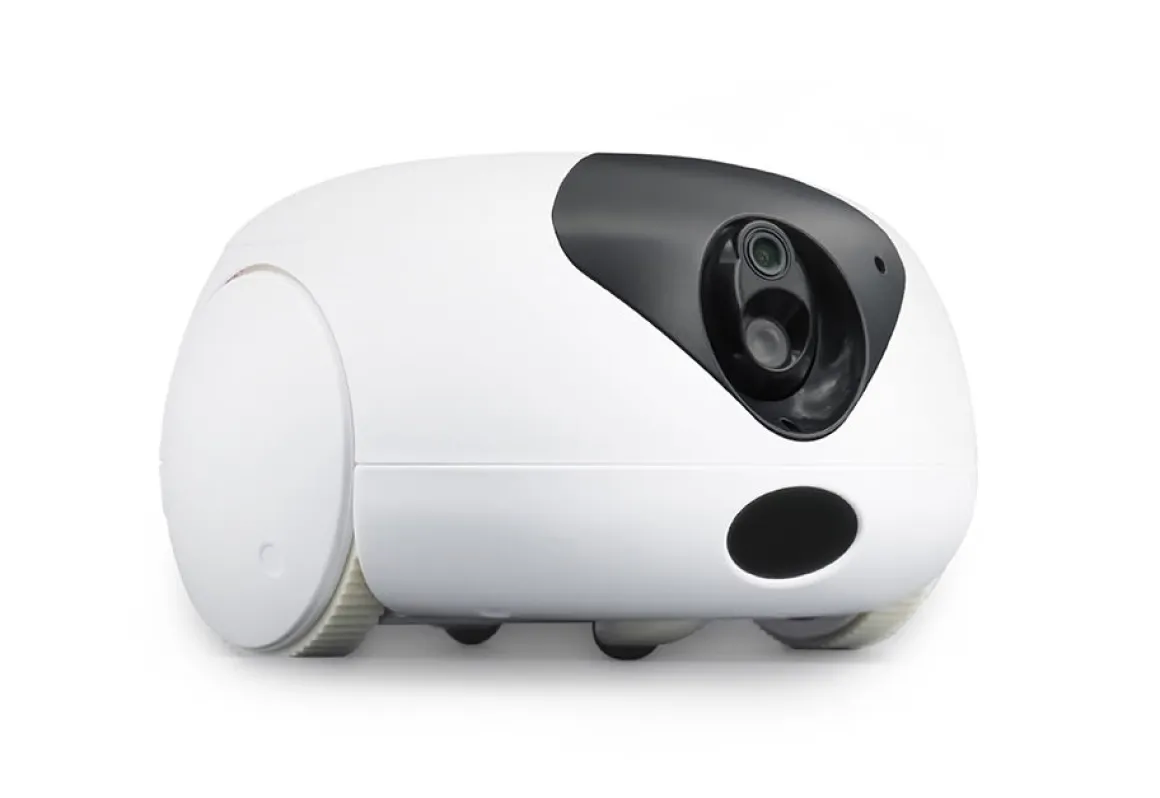 Robotic Pet Interaction Toy