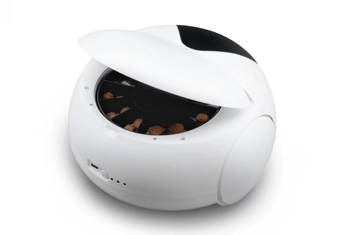 Robotic Pet Interaction Toy