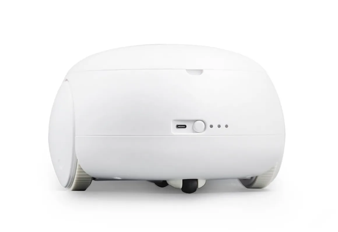 Robotic Pet Interaction Toy