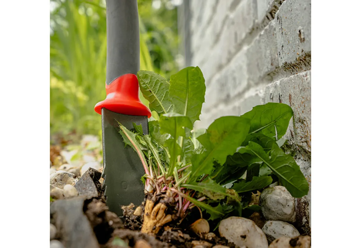 Root Slayer Soil Knife
