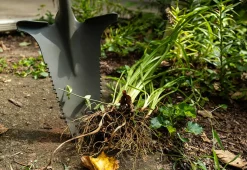 Root Slayer Soil Knife