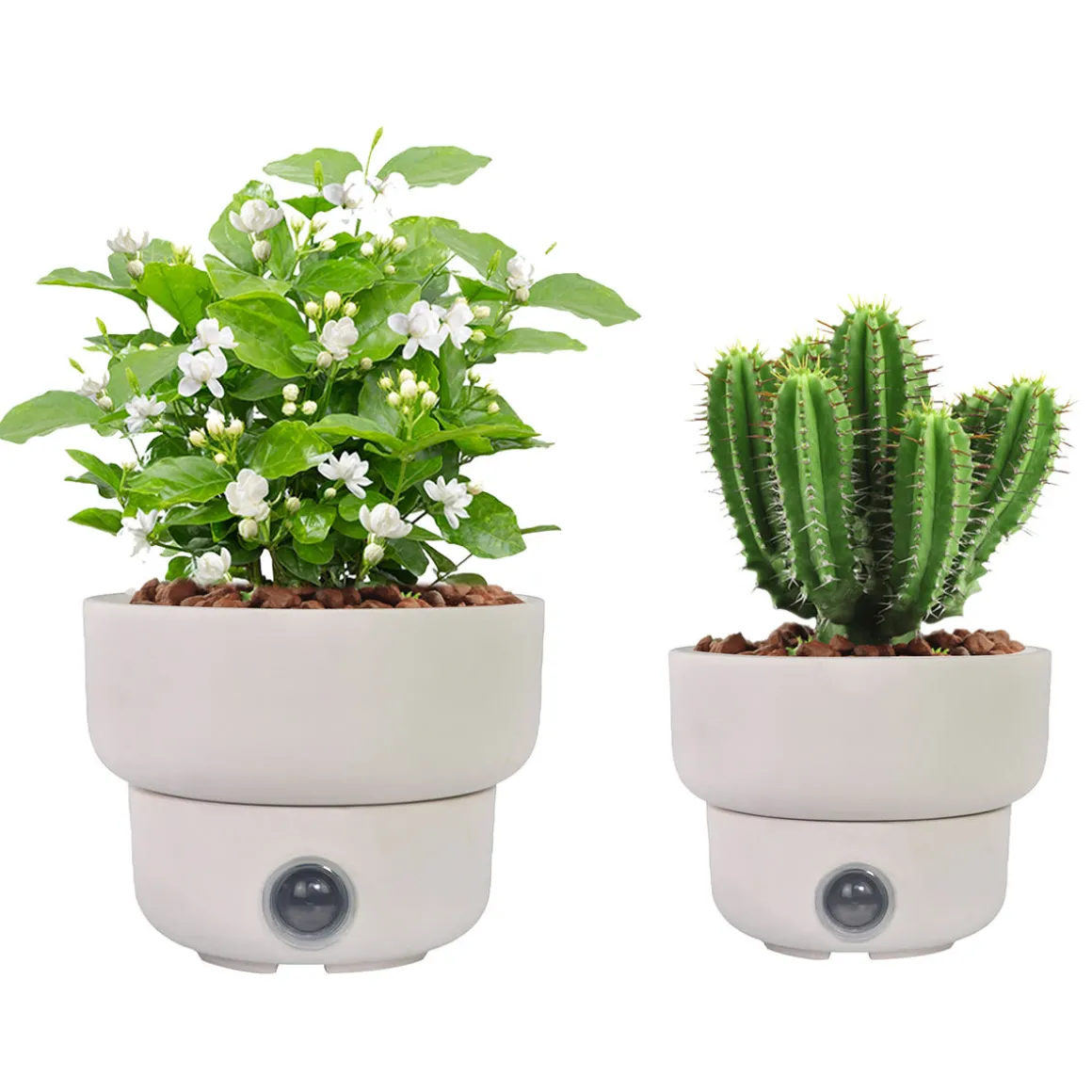 Self-Watering Low Bowl Pot System for Indoor Plants (Set of 2)