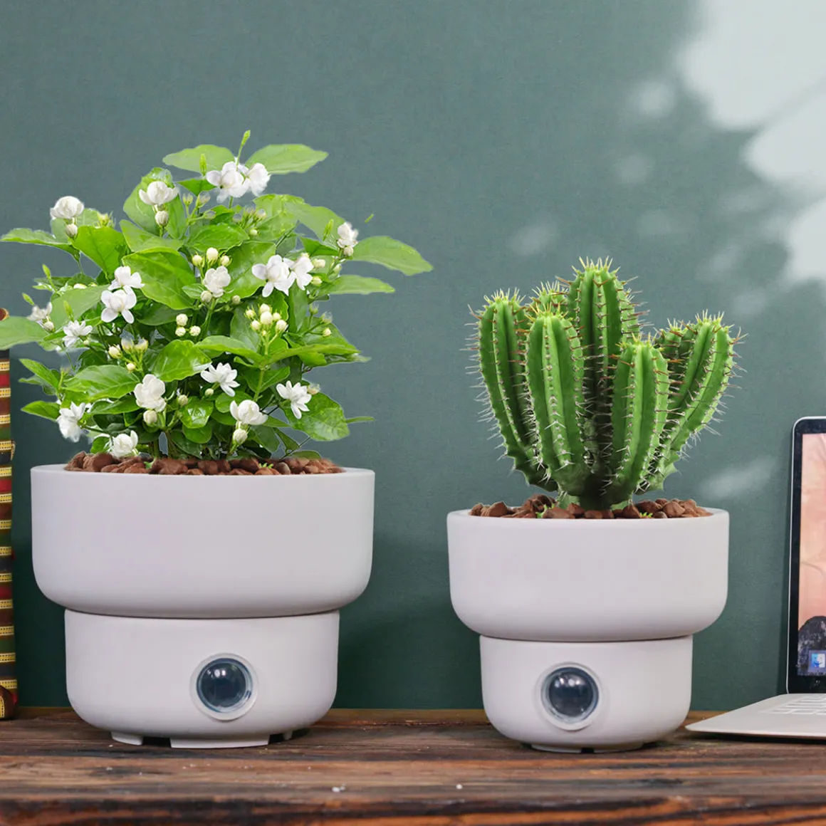 Self-Watering Low Bowl Pot System for Indoor Plants (Set of 2)