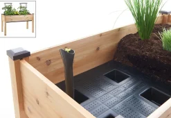 Self-Watering Planter