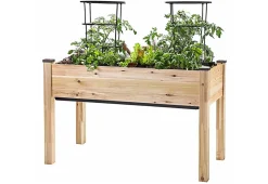 Self-Watering Planter
