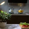 Self-Watering Planter with LED Grow Light
