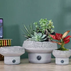 Self-Watering Rock Garden Pot System for Indoor Plants (Set of 3)