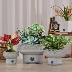 Self-Watering Rock Garden Pot System for Indoor Plants (Set of 3)