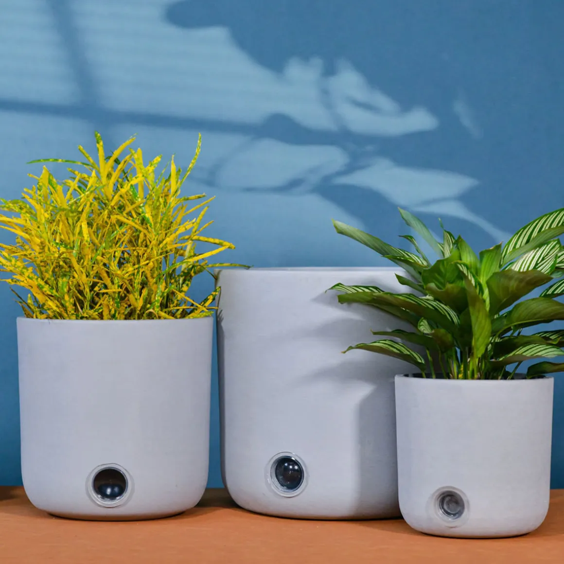 Self-Watering Tall Cylinder Pot System for Indoor Plants (Set of 3)