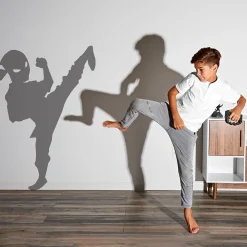 Shadow Fighter