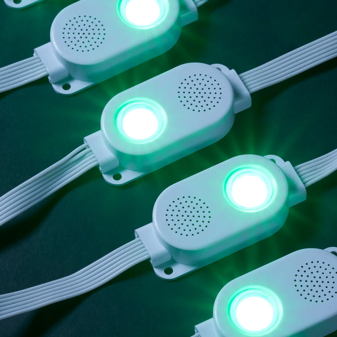 Smart LED String Lights with Speakers