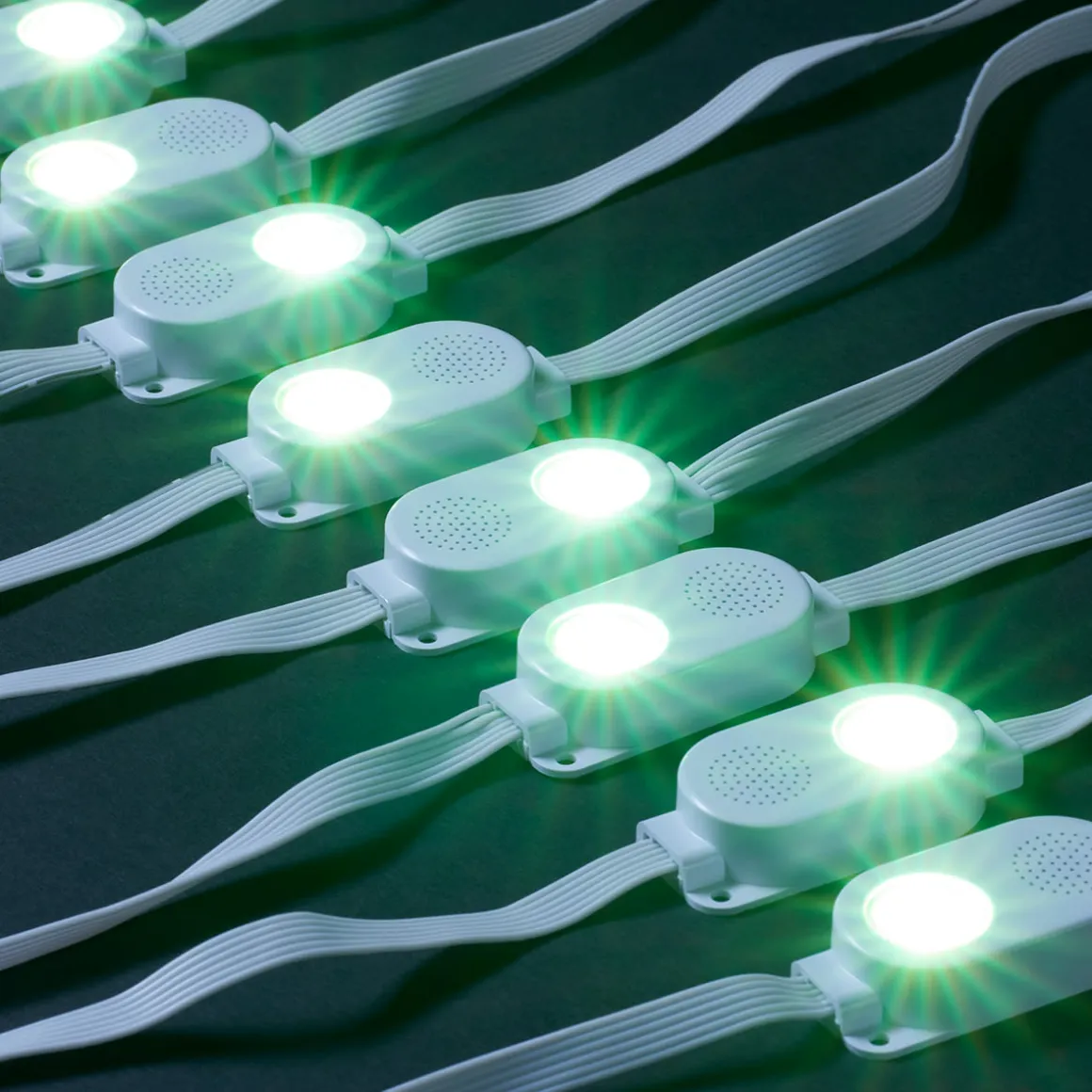 Smart LED String Lights with Speakers