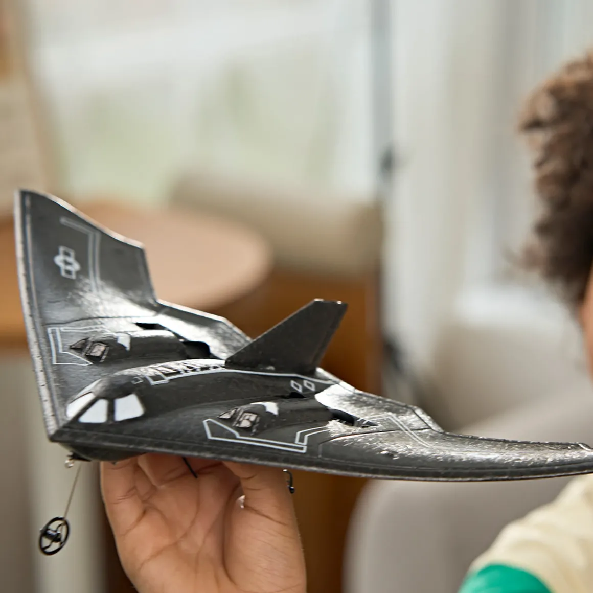 Smithsonian RC Stealth Aircraft