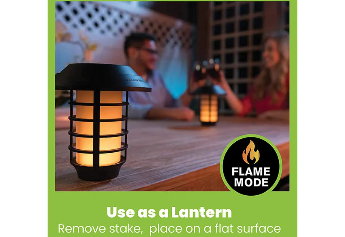 Solar Pathway Lights (Set of 4)