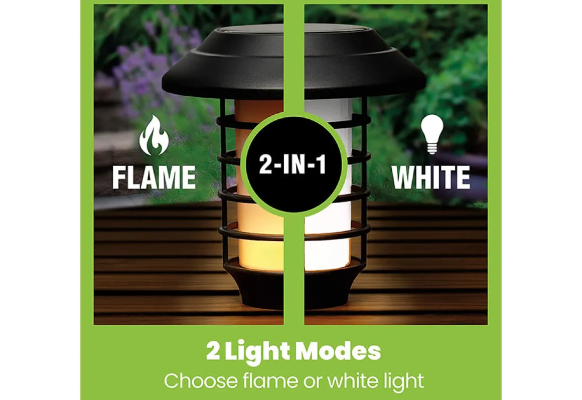 Solar Pathway Lights (Set of 4)