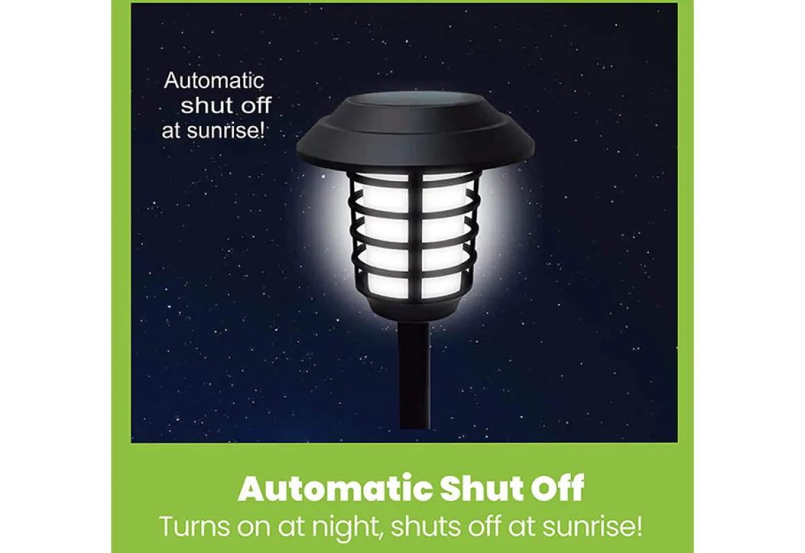 Solar Pathway Lights (Set of 4)