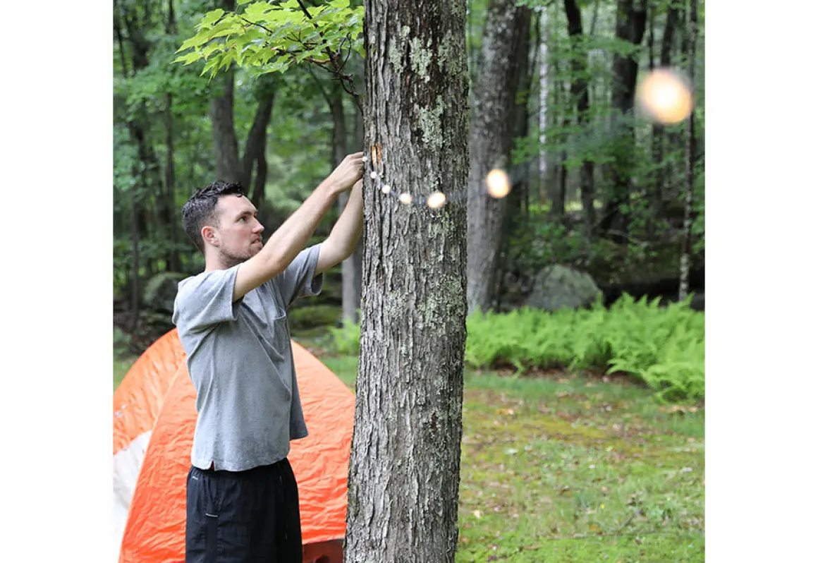 Solar Powered String Lights