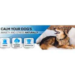 Sound Soother for Pets