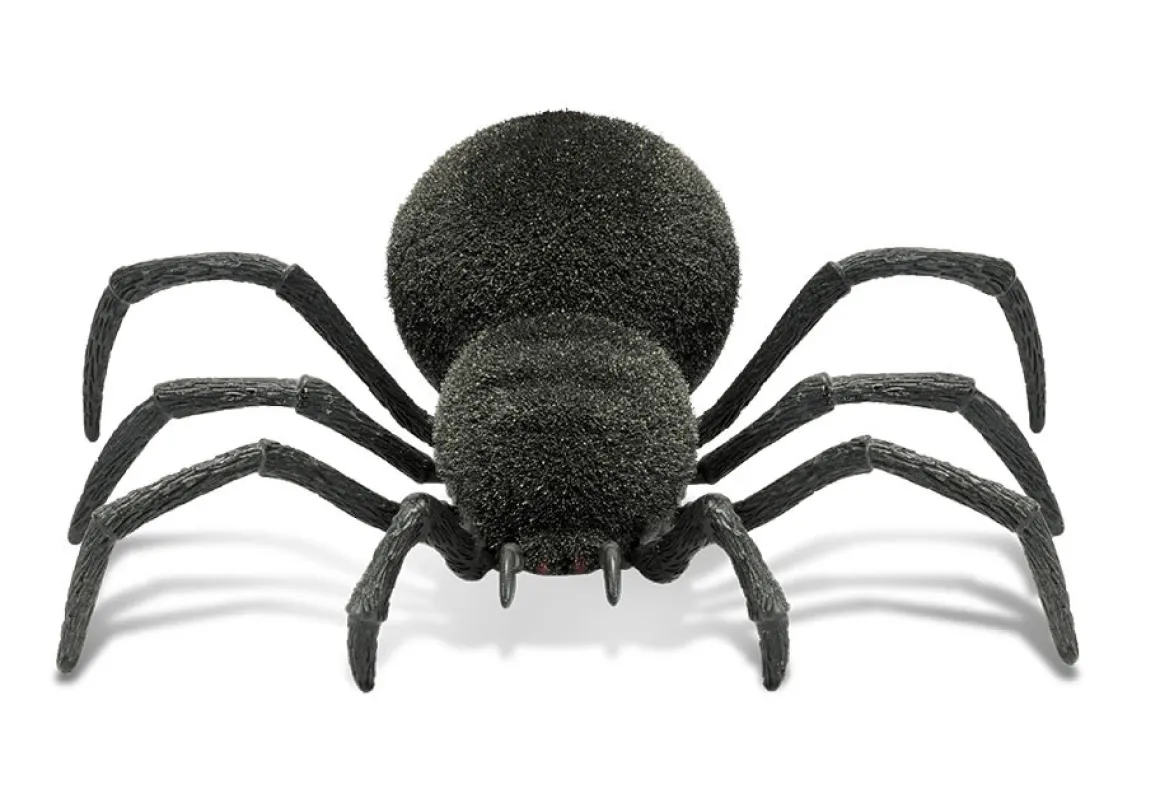Spooky RC Spider