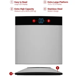 Stainless Steel Bathroom Scale