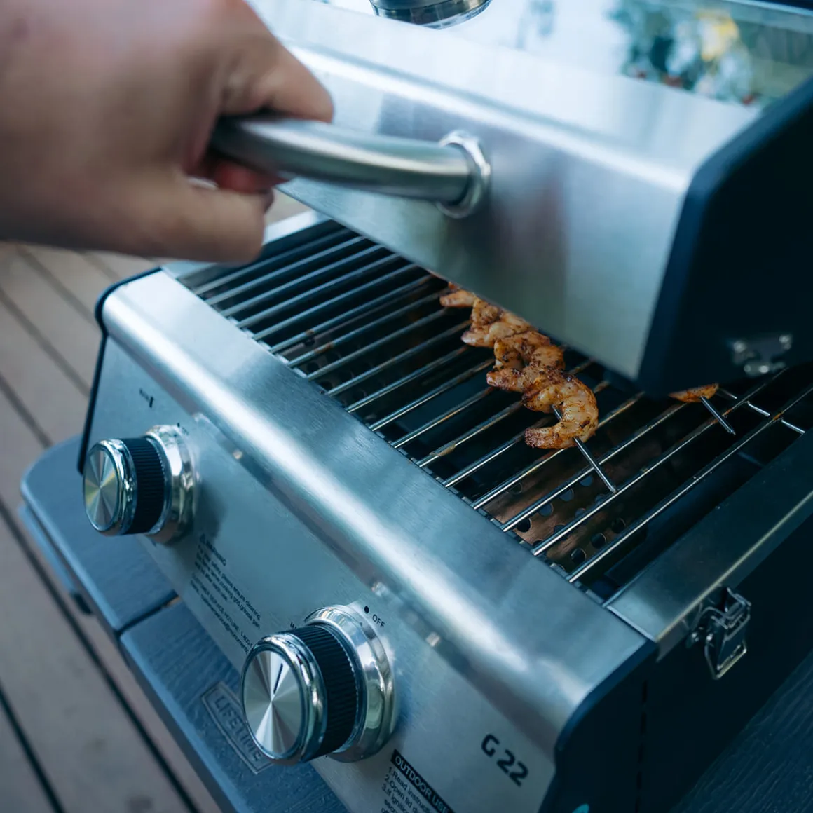 Tabletop Propane Gas Grill