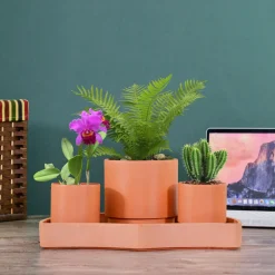 Tabletop Self-Watering Pot System for Indoor Plants (Set of 3)
