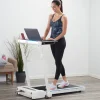 Treadmill Desk