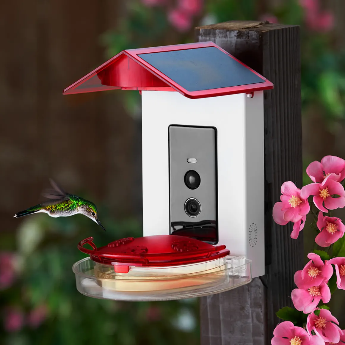 Video Camera Hummingbird Feeder by Sharper Image