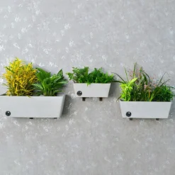 Wall Hanging Self-Watering Pot System for Indoor Plants (Set of 3)