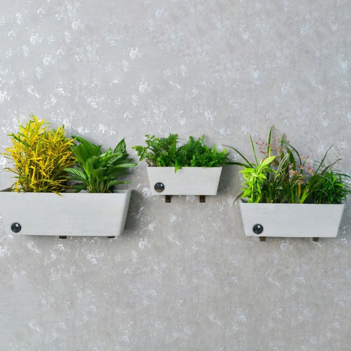 Wall Hanging Self-Watering Pot System for Indoor Plants (Set of 3)