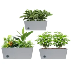 Wall Hanging Self-Watering Pot System for Indoor Plants (Set of 3)