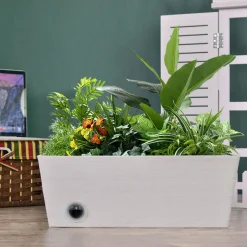 Wall Hanging Self-Watering Pot System for Indoor Plants (Set of 3)