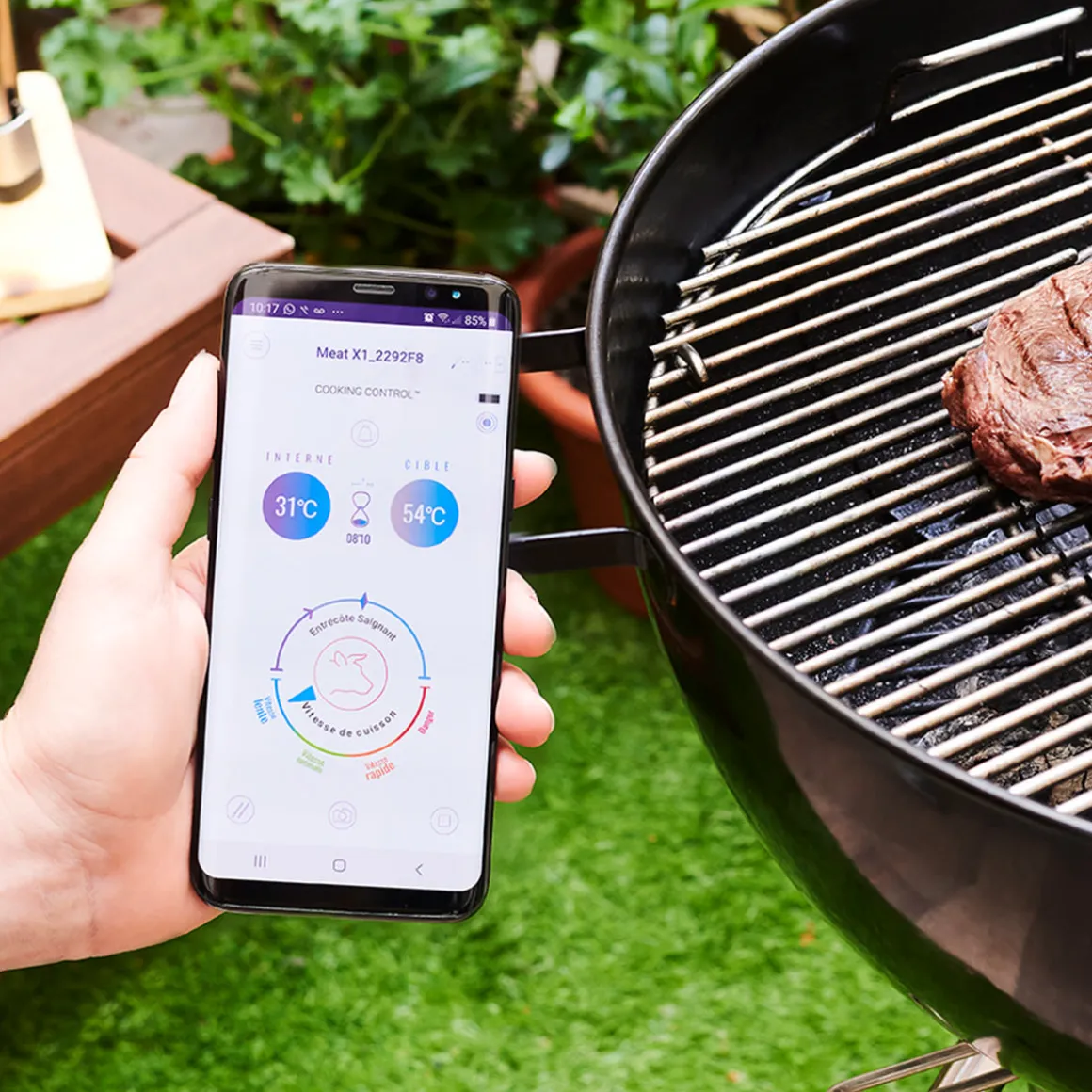 Wireless Meat Thermometer