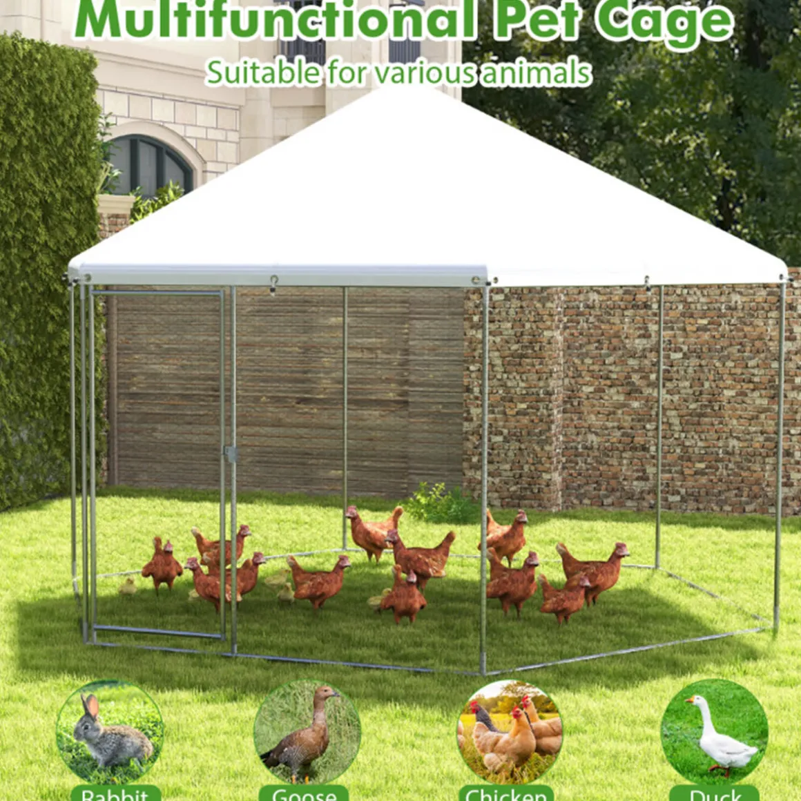 13' Wire Mesh Hexagonal Chicken Coop
