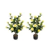 38'' Artificial Camellia Flower Trees with Cement Pot (Set of 2)