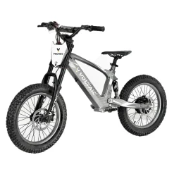 Youth Electric Dirt Bike