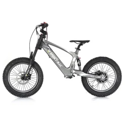 Youth Electric Dirt Bike